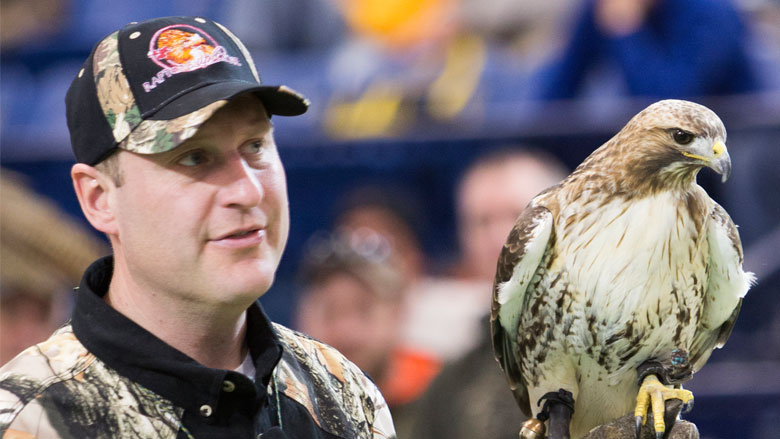 Raptors Up Close: Birds of Prey - The Ultimate Hunters